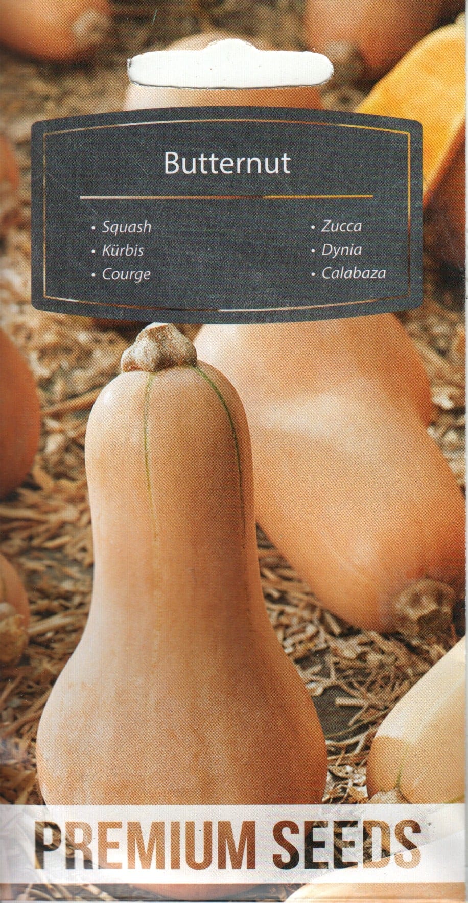 Muskaatkõrvits "Butternut"