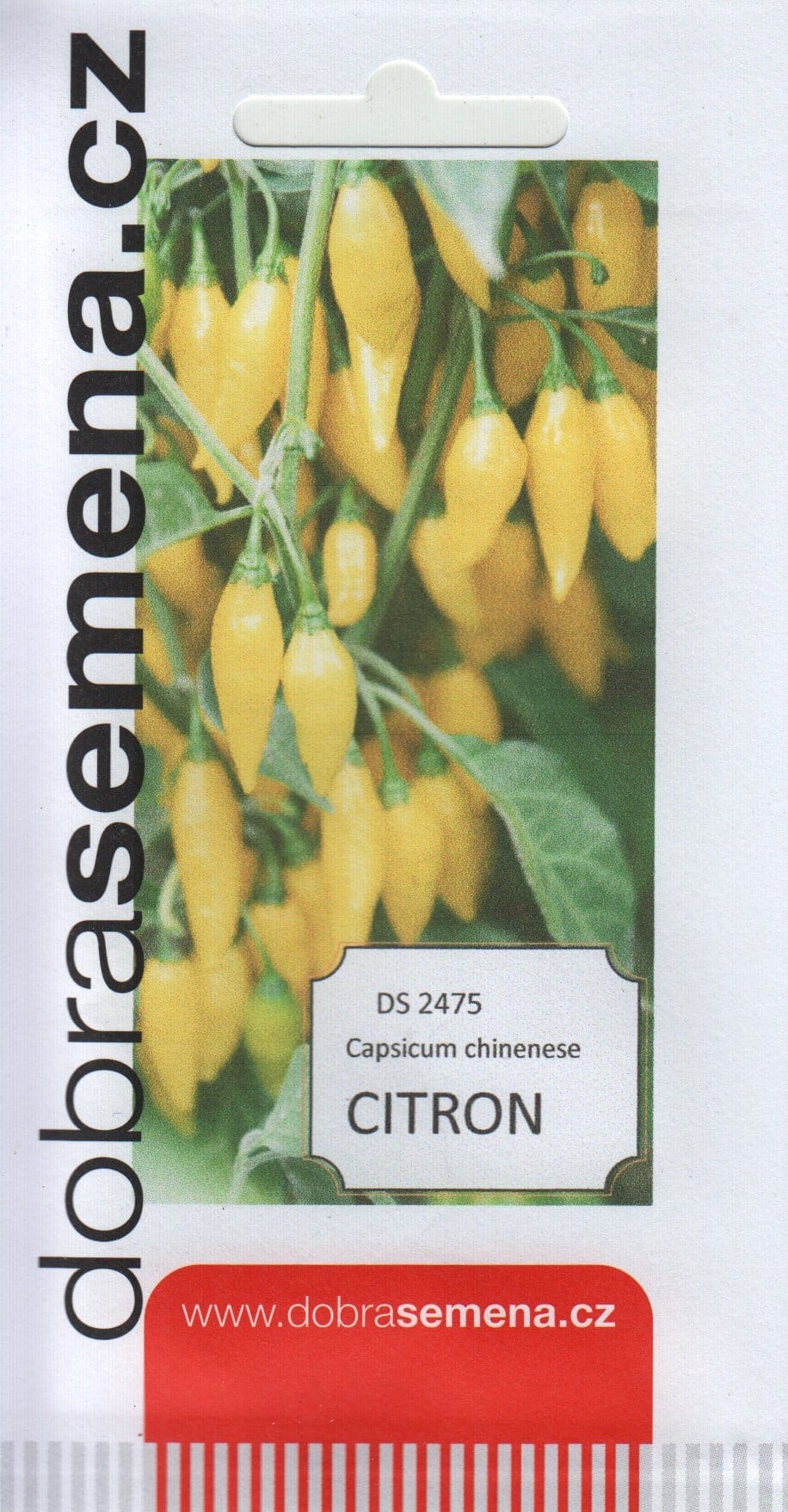 Kariibi paprika "Citron"