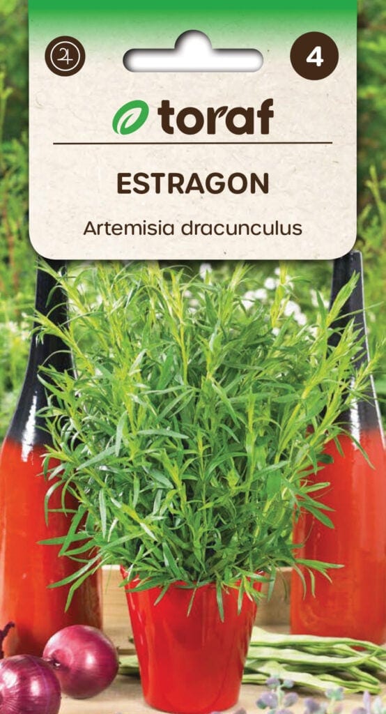 Estragon