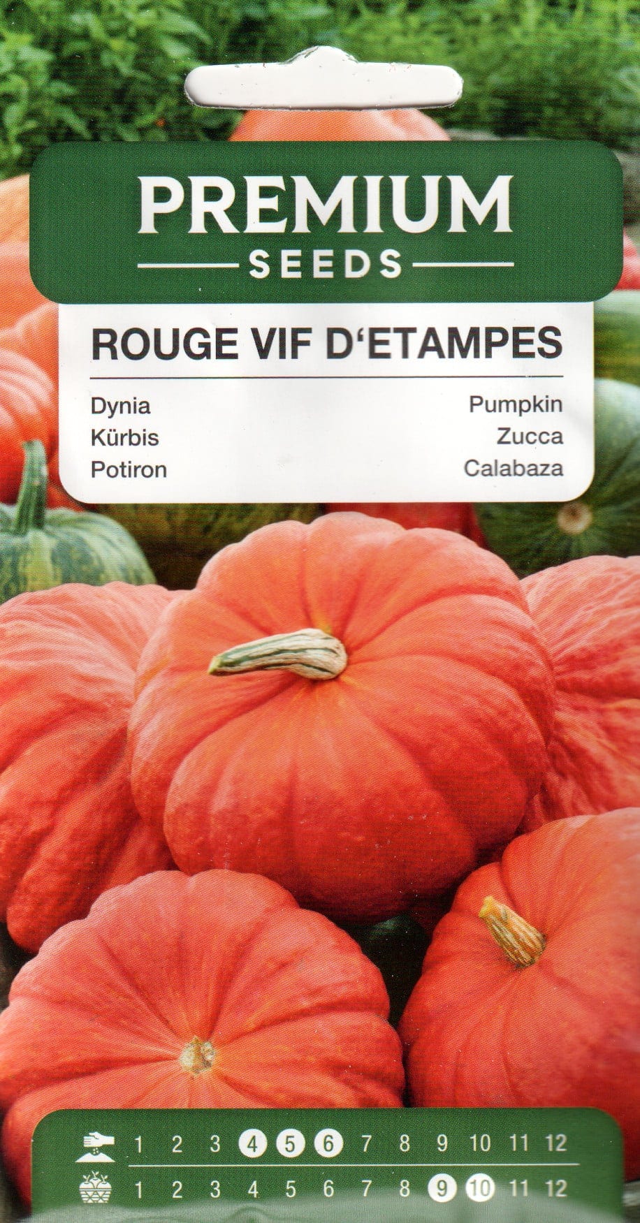 Kõrvits "Rouge VIF d'Etampes"