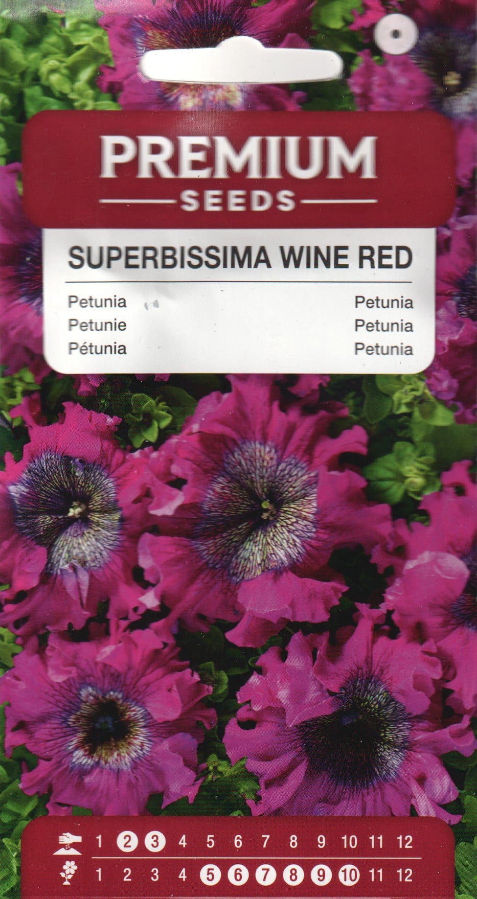 Petuunia "Superbissima Wine Red" F1