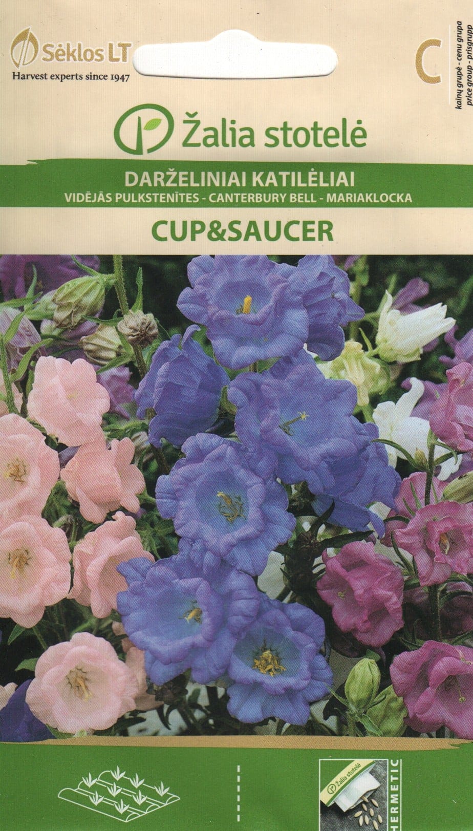 Keskmine kellukas "Cup and Saucer Mix"