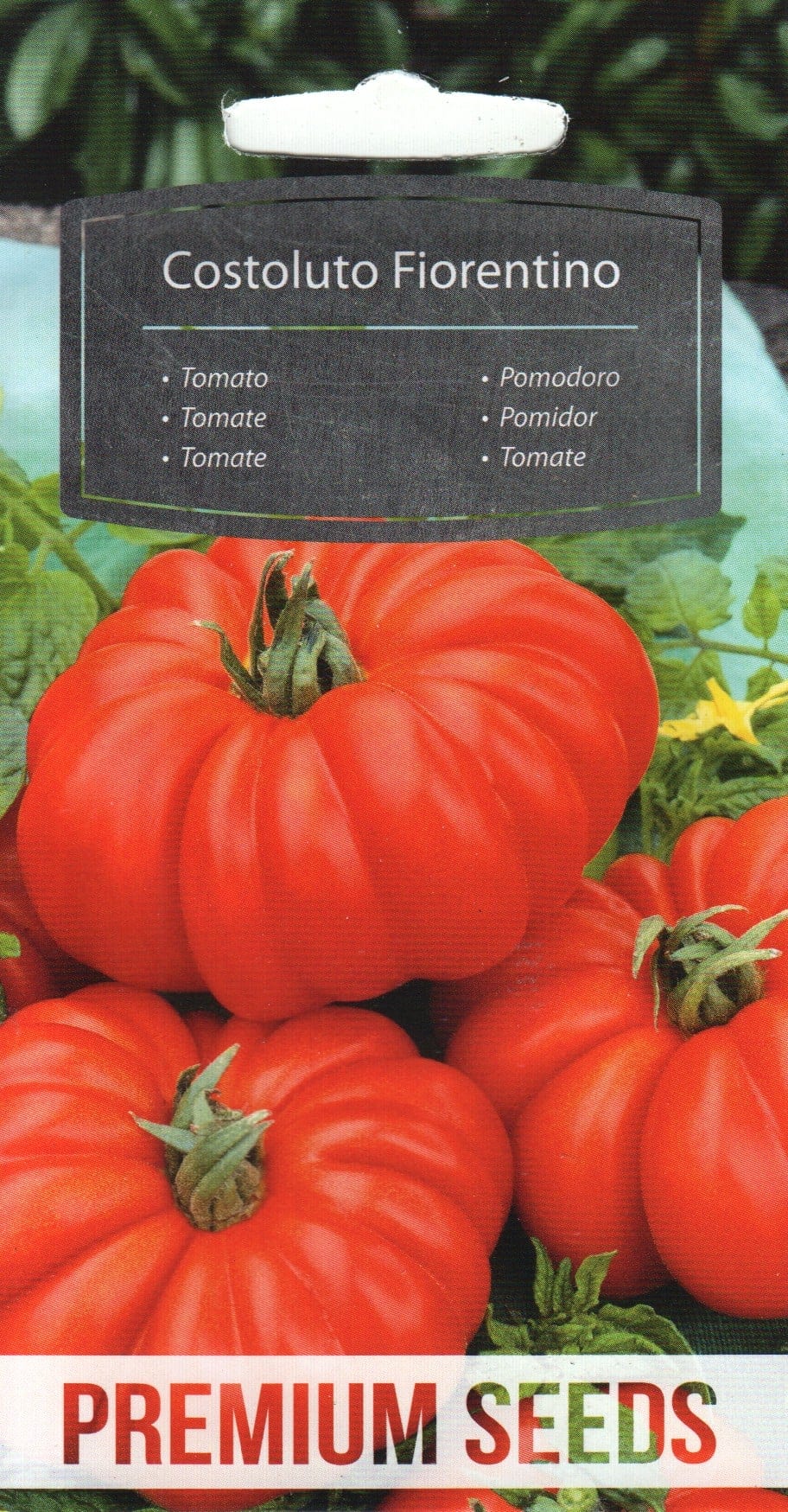 Tomat "Costoluto Fiorentino"