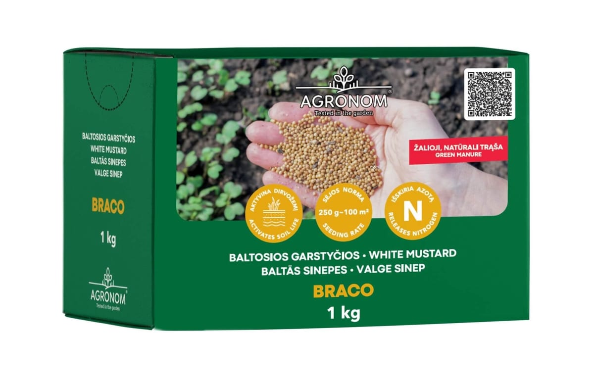 Valge sinep "Braco" 1kg