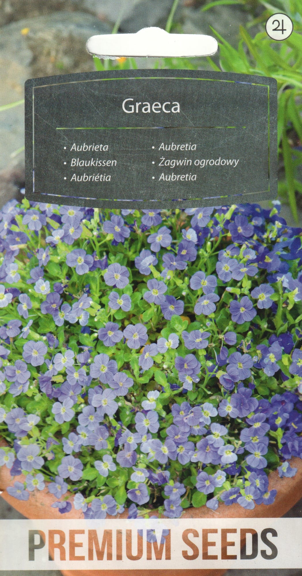 Aed-aubrieeta "Graeca"