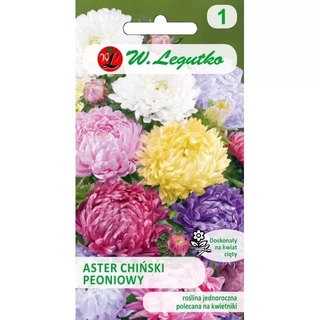 Aster "Ostrich Mix"