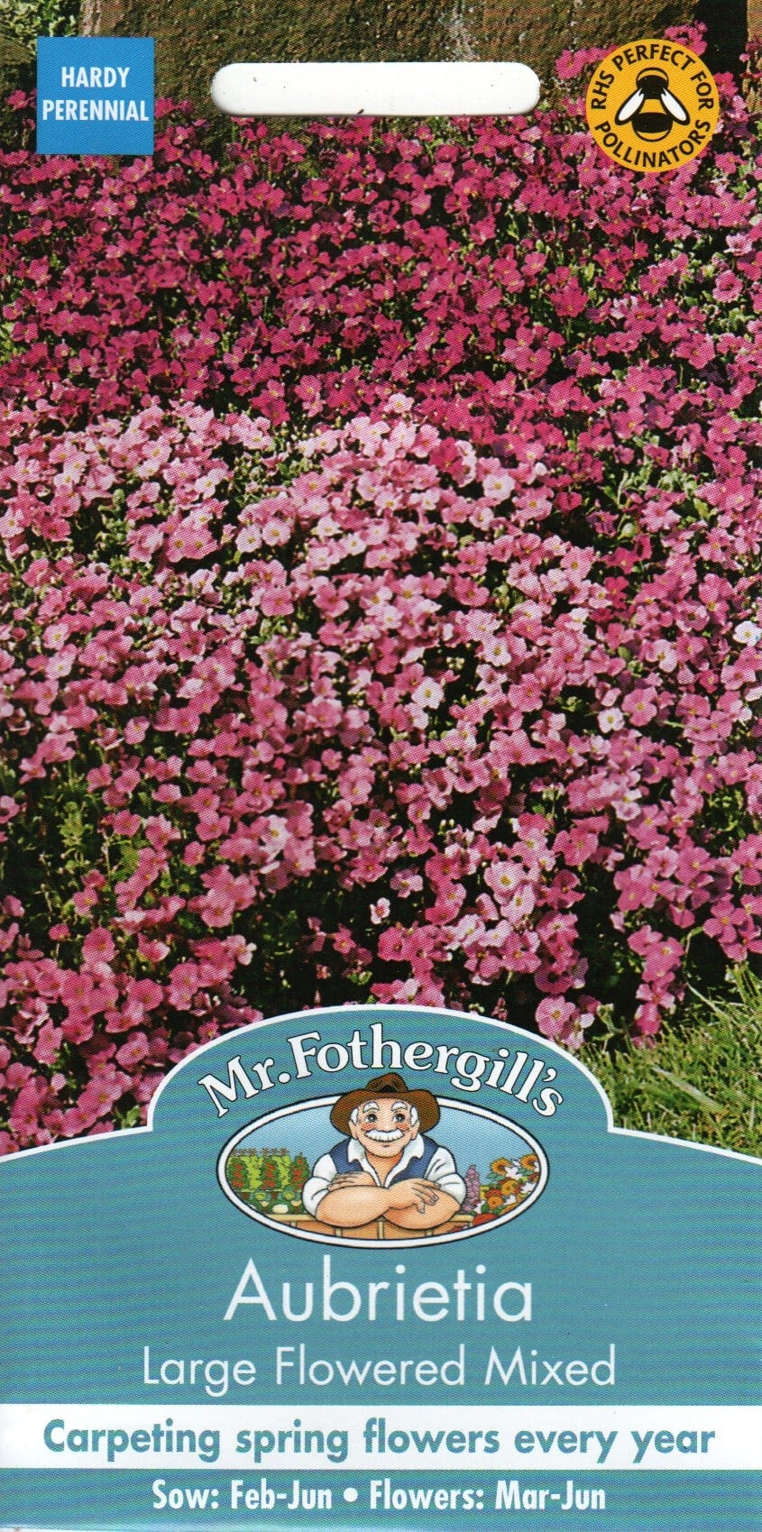 Aed-aubrieeta "Large Flowered Mixed"