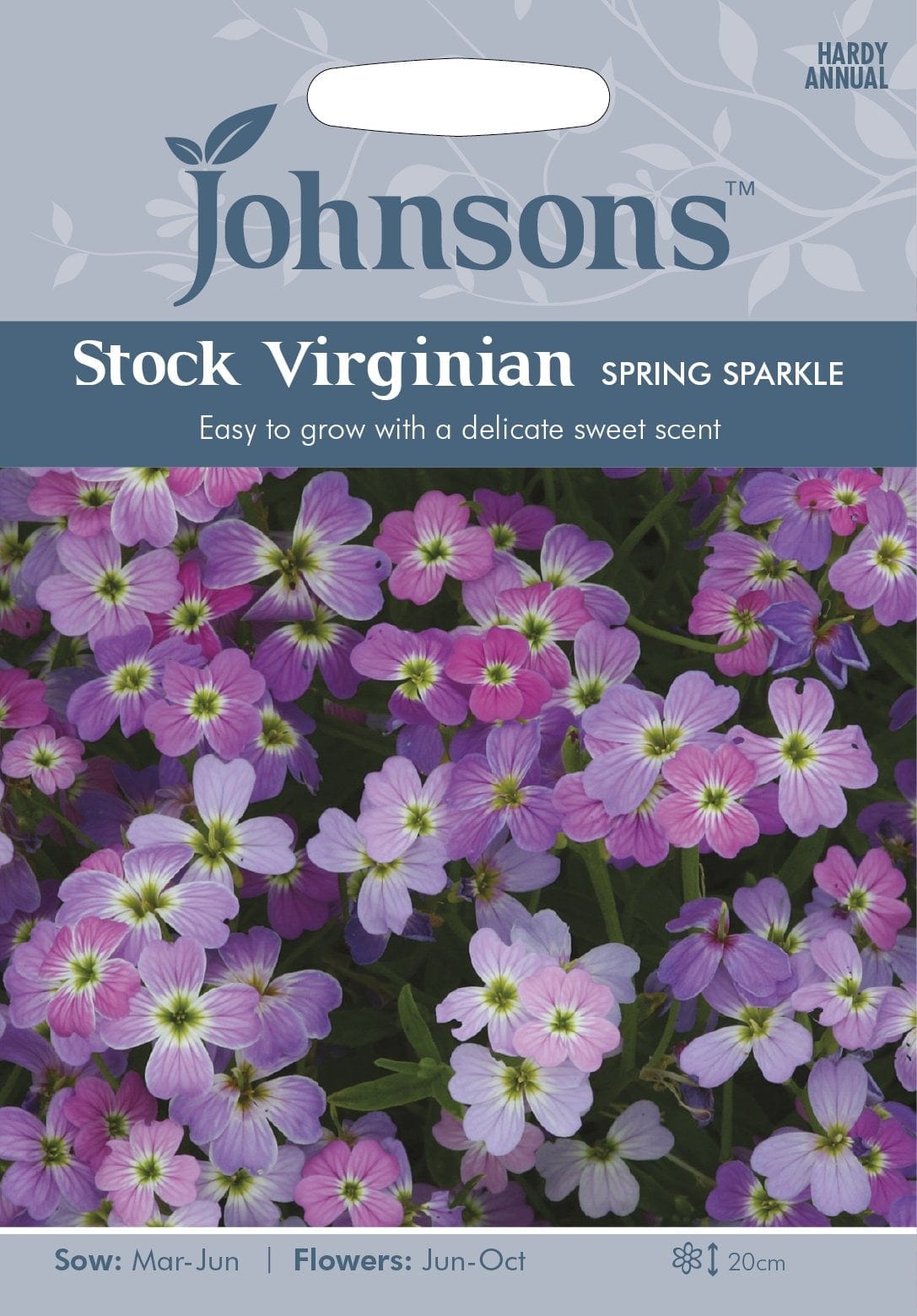 Meri-malkolmia "Spring Sparkle"