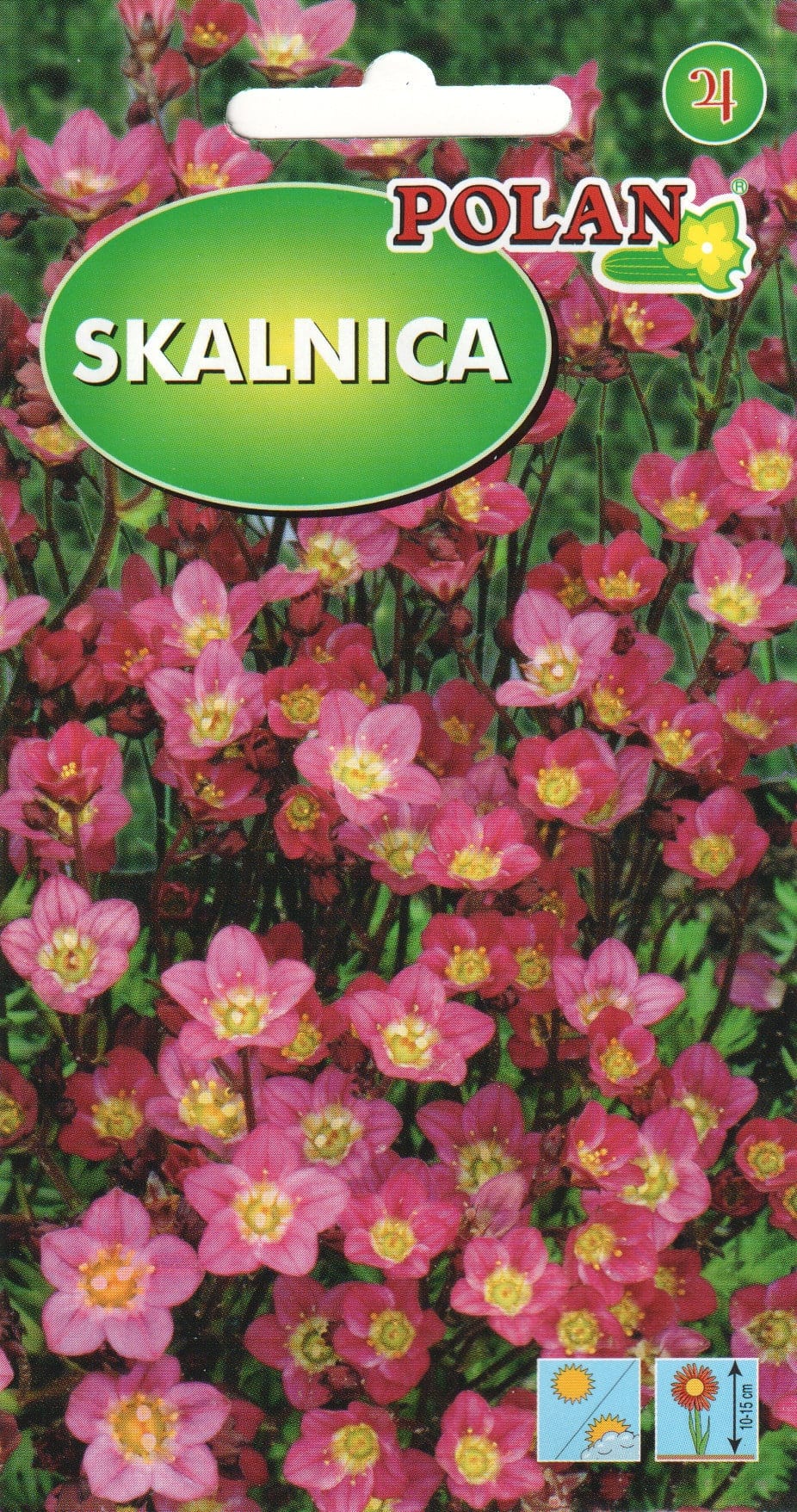 Arendsi kivirik roosa