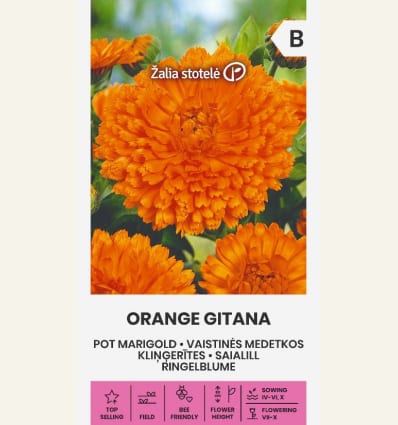 Saialill "Orange Gitana"