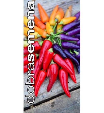 Kibepaprika "Bolivian Rainbow"