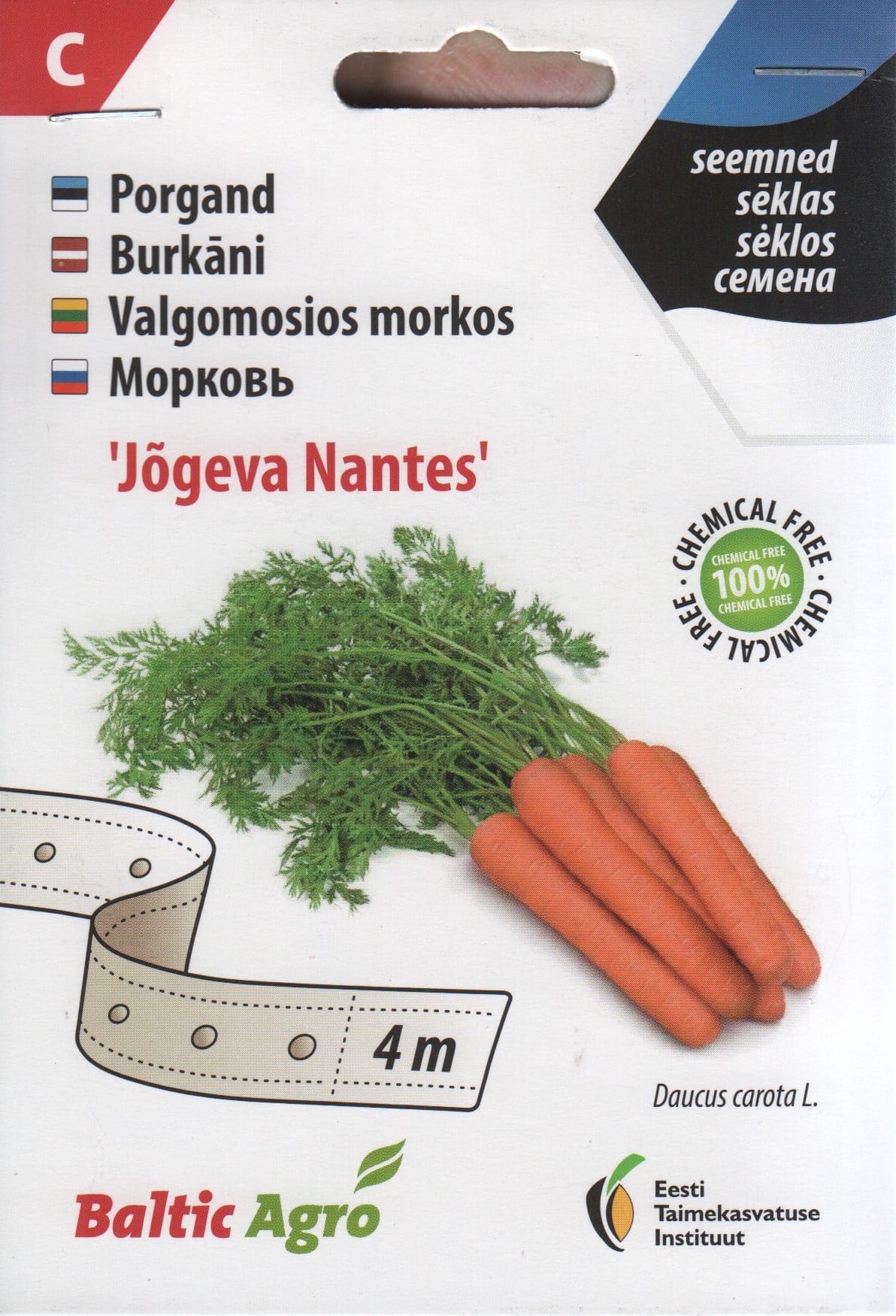 Porgand "Jõgeva Nantes" - lindil 4 meetrit
