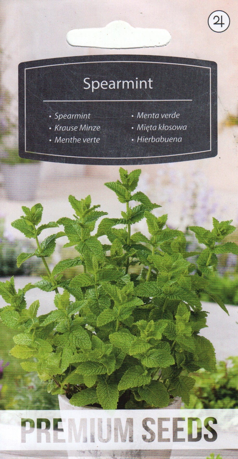 Mojito münt, rohemünt