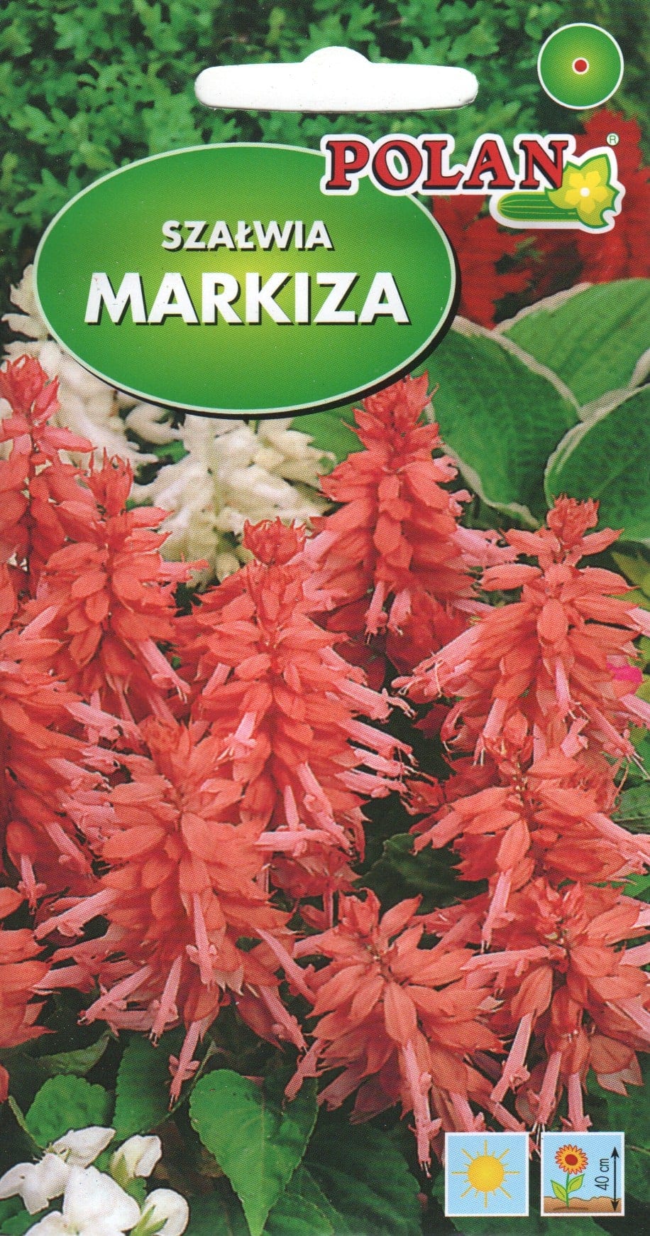 Leeksalvei "Markiza" roosa