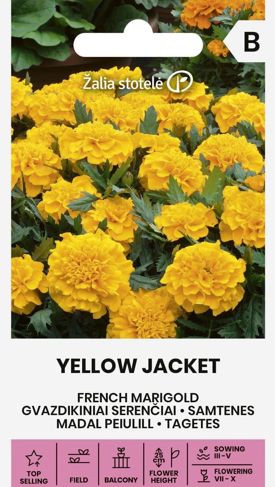 Peiulill "Yellow Jacket"