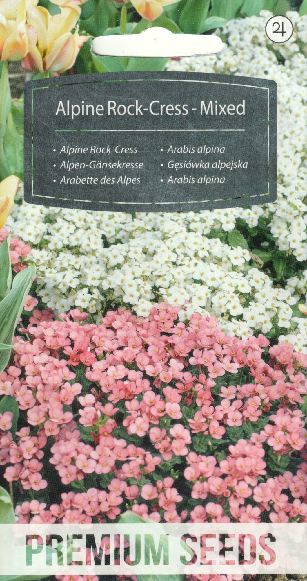 Alpi hanerohi segu