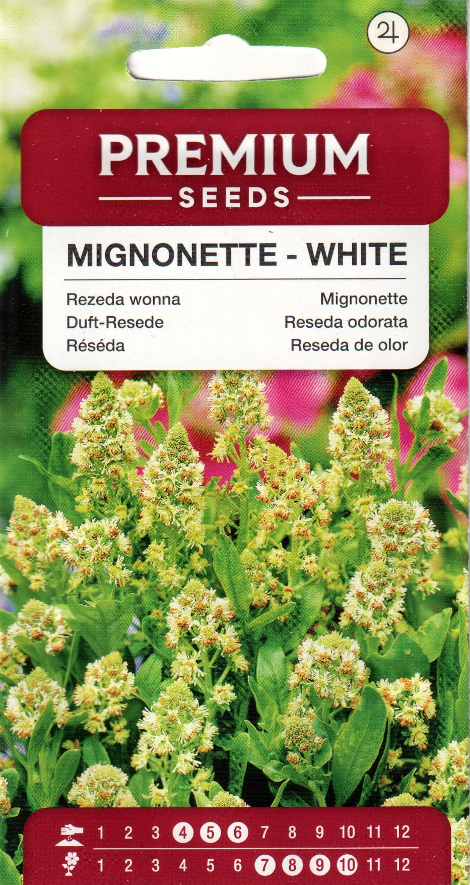 Lõhnav reseeda "Mignonette - White"