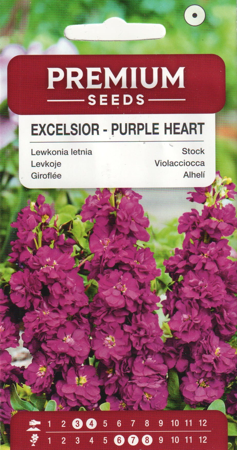 Levkoi "Excelsior Purple Heart"