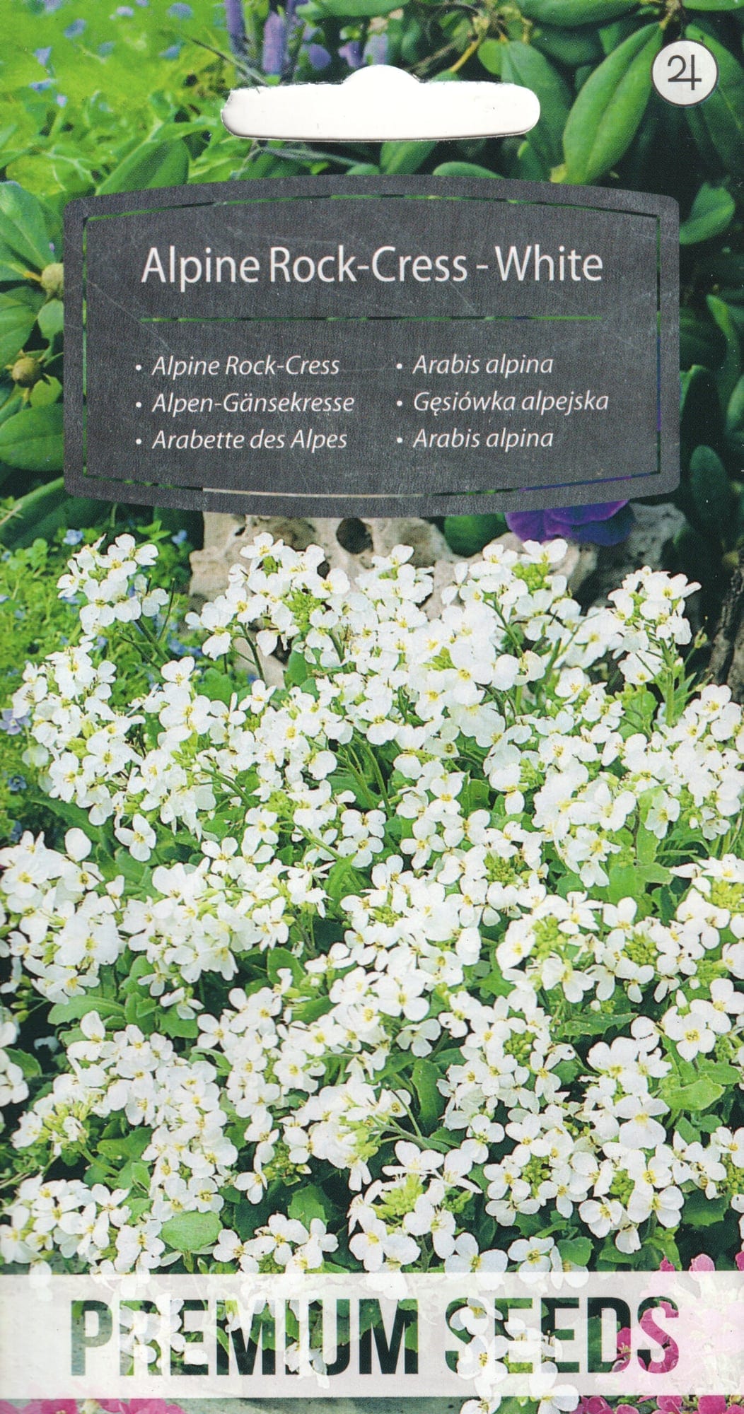 Alpi hanerohi "White"