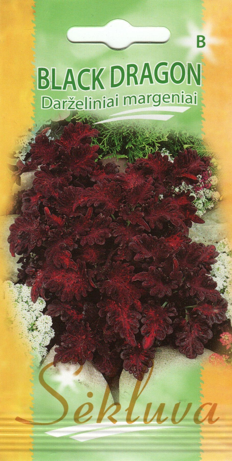Värd-kirinõges "Black Dragon"