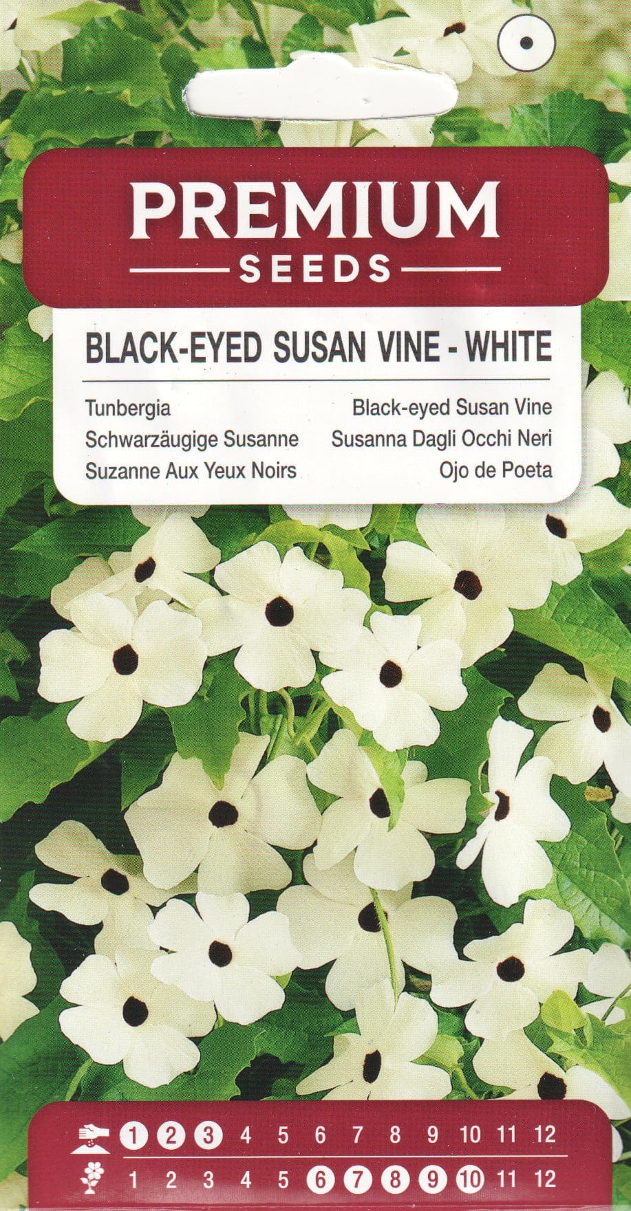 Tiivuline tunbergia "White"