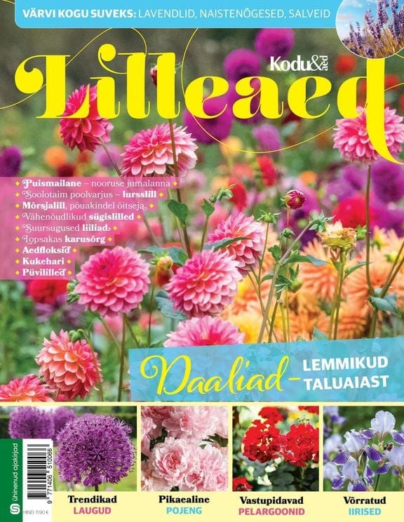 "Lilleaed"