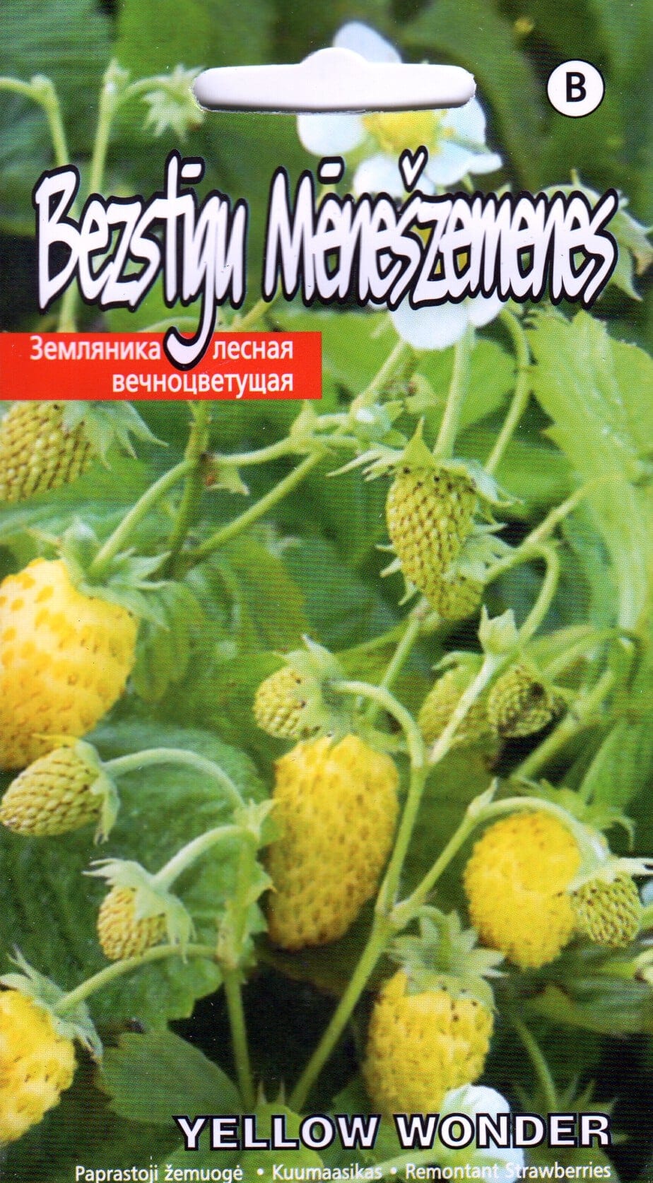 Kuumaasikas "Yellow Wonder"