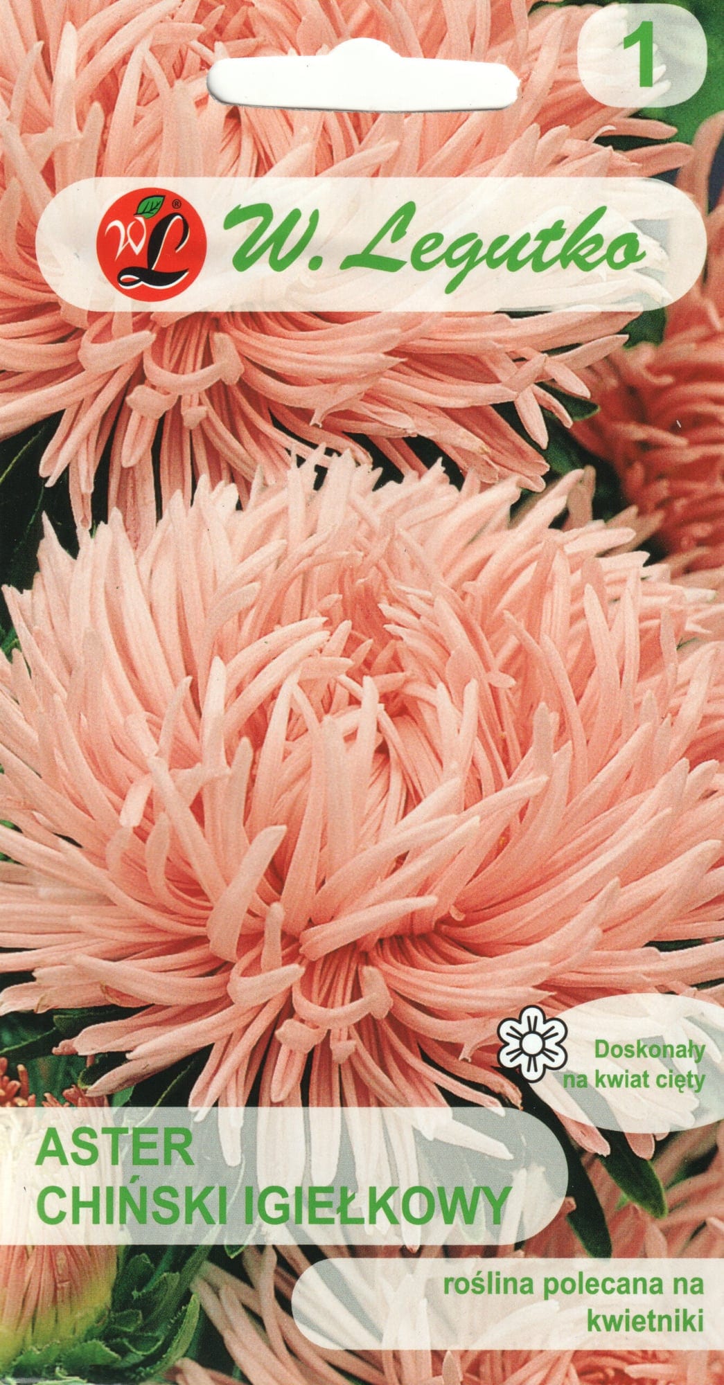 Aster lõheroosa