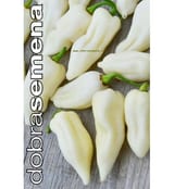 Pilt 1