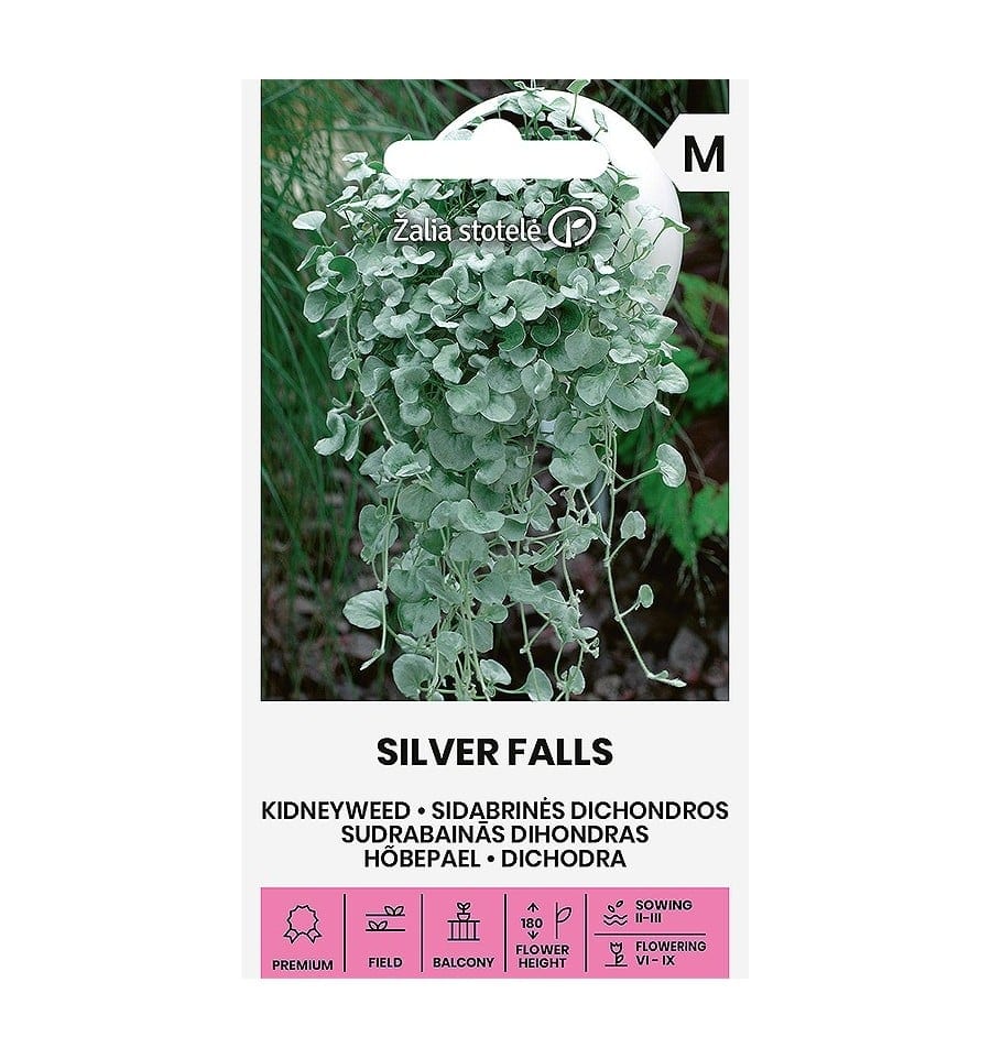 Kard-hõbepael "Silver Falls"