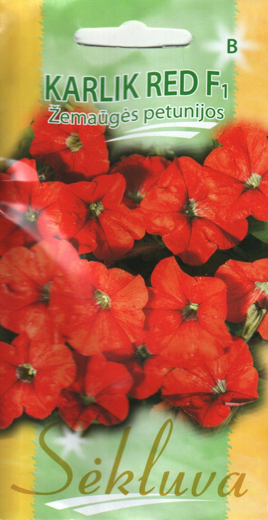 Petuunia "Karlik Red" F1