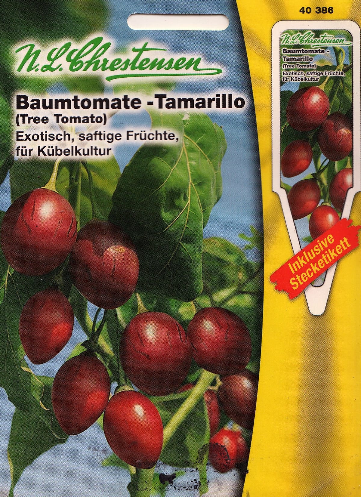 Tamarillo-tomatipuu