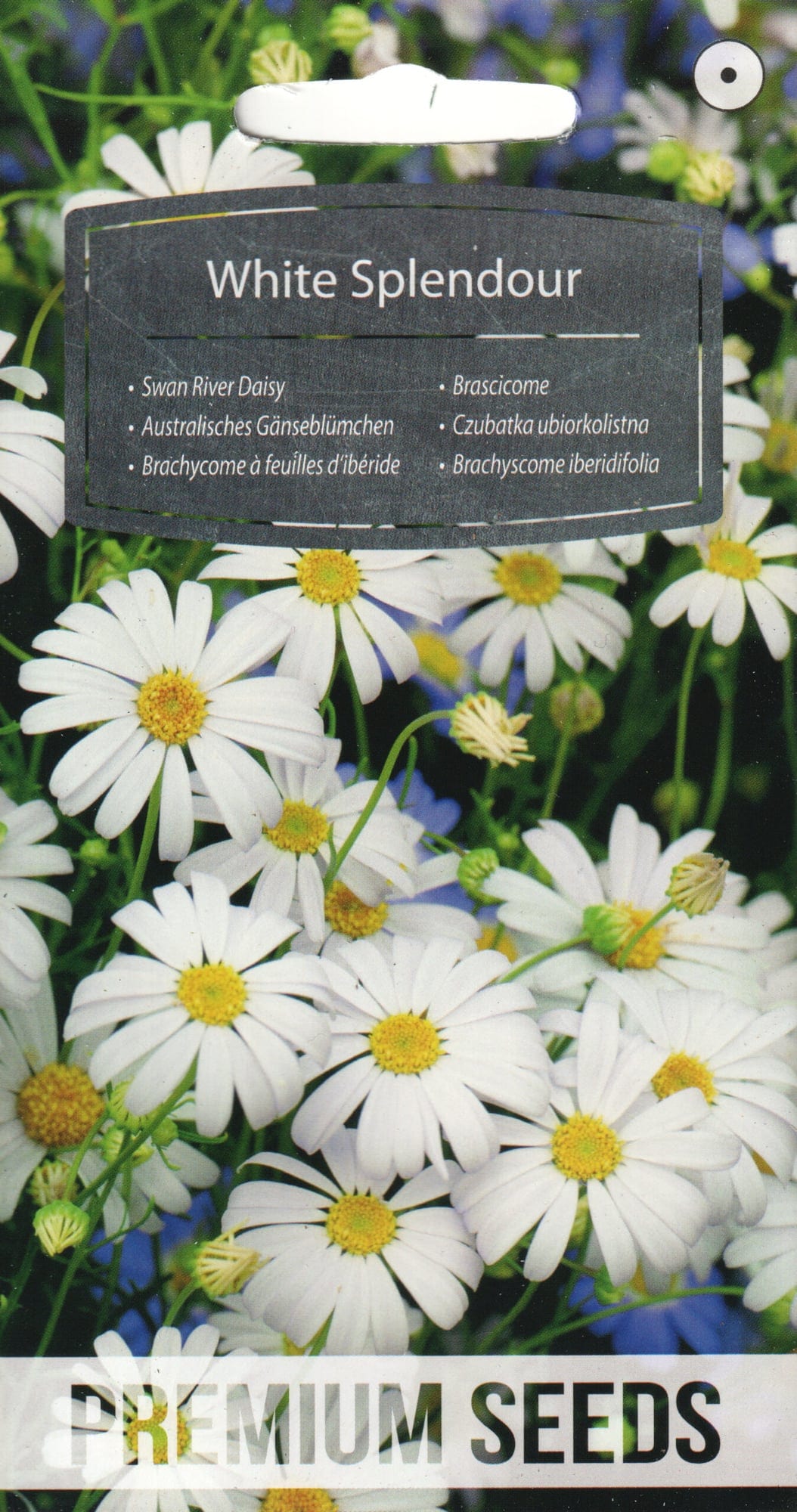 Ibeeriselehine tukalill "White Splendour"