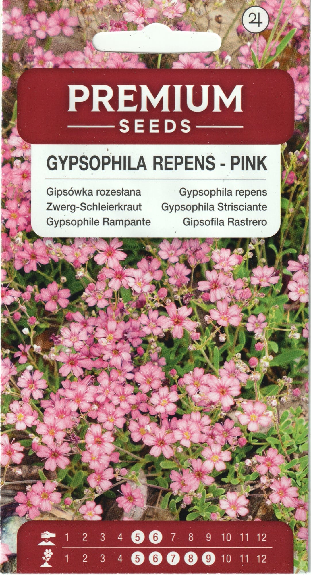 Roomav kipslill "Pink"