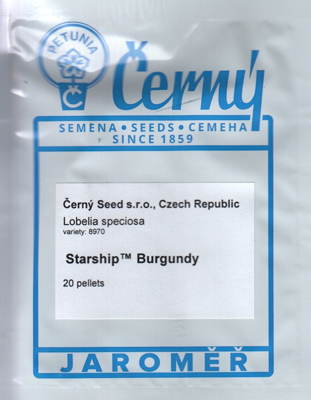 Eriline lobeelia "Starship Burgundy"