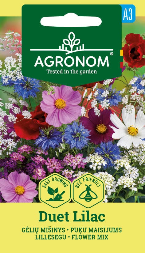 Suvelillesegu "Duet Lilac"