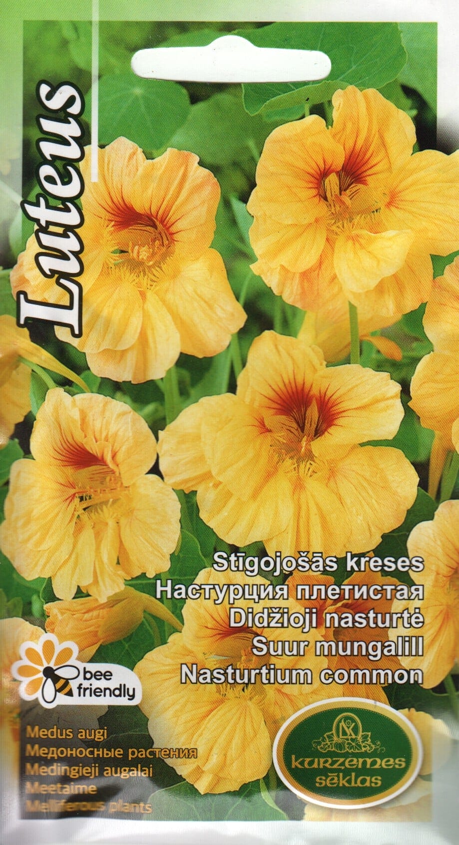 Suur mungalill "Luteus"
