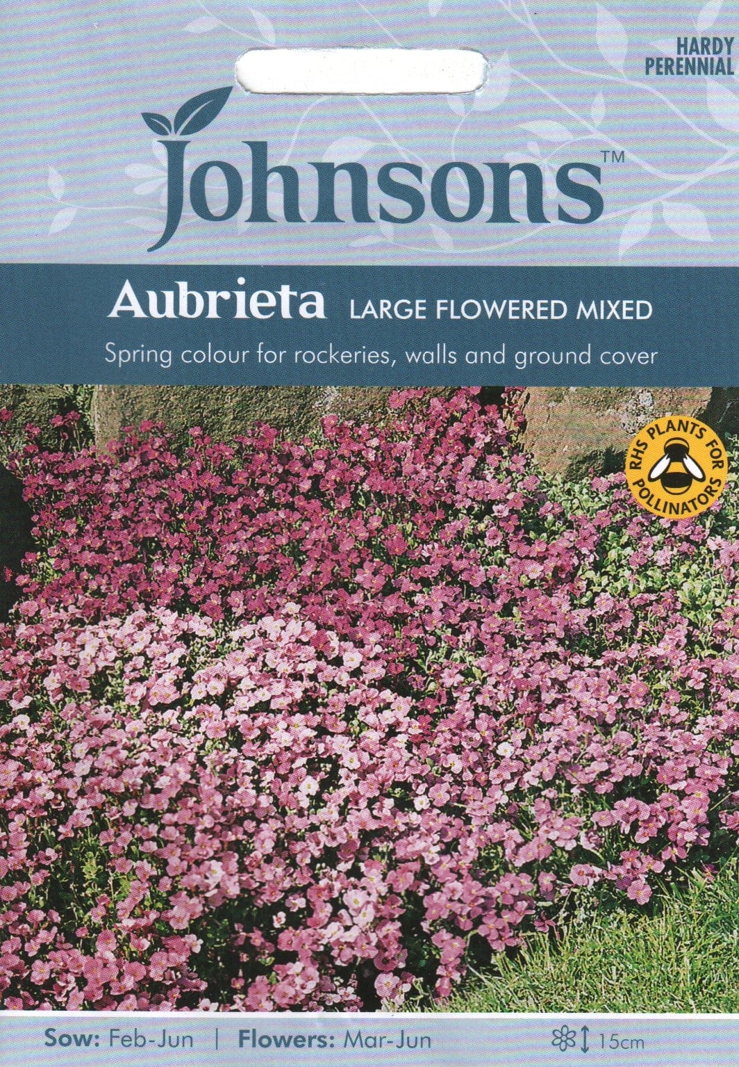 Aed-aubrieeta "Large Flowered Mixed"