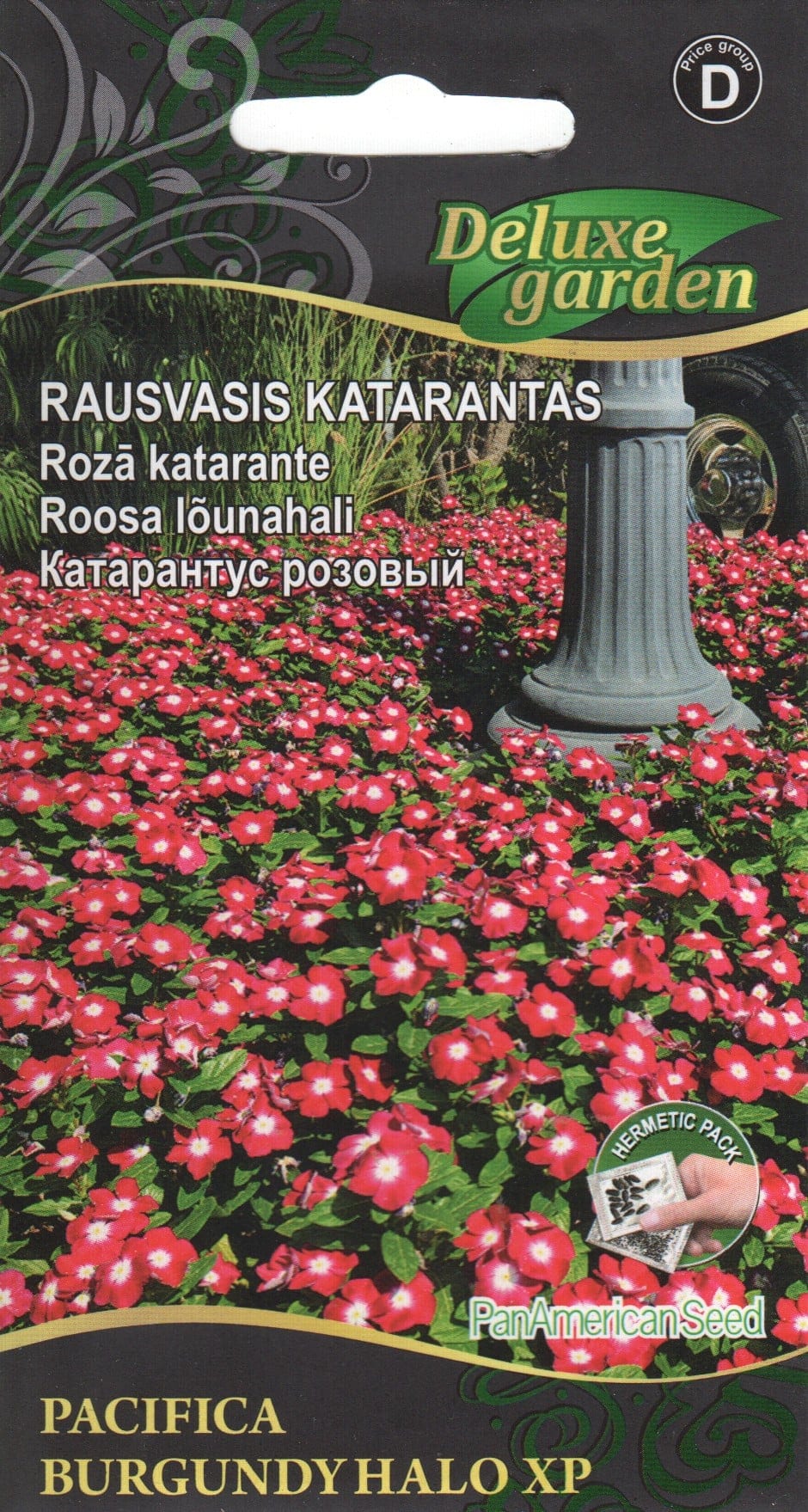 Roosa lõunahali "Pacifica Burgundy Halo"
