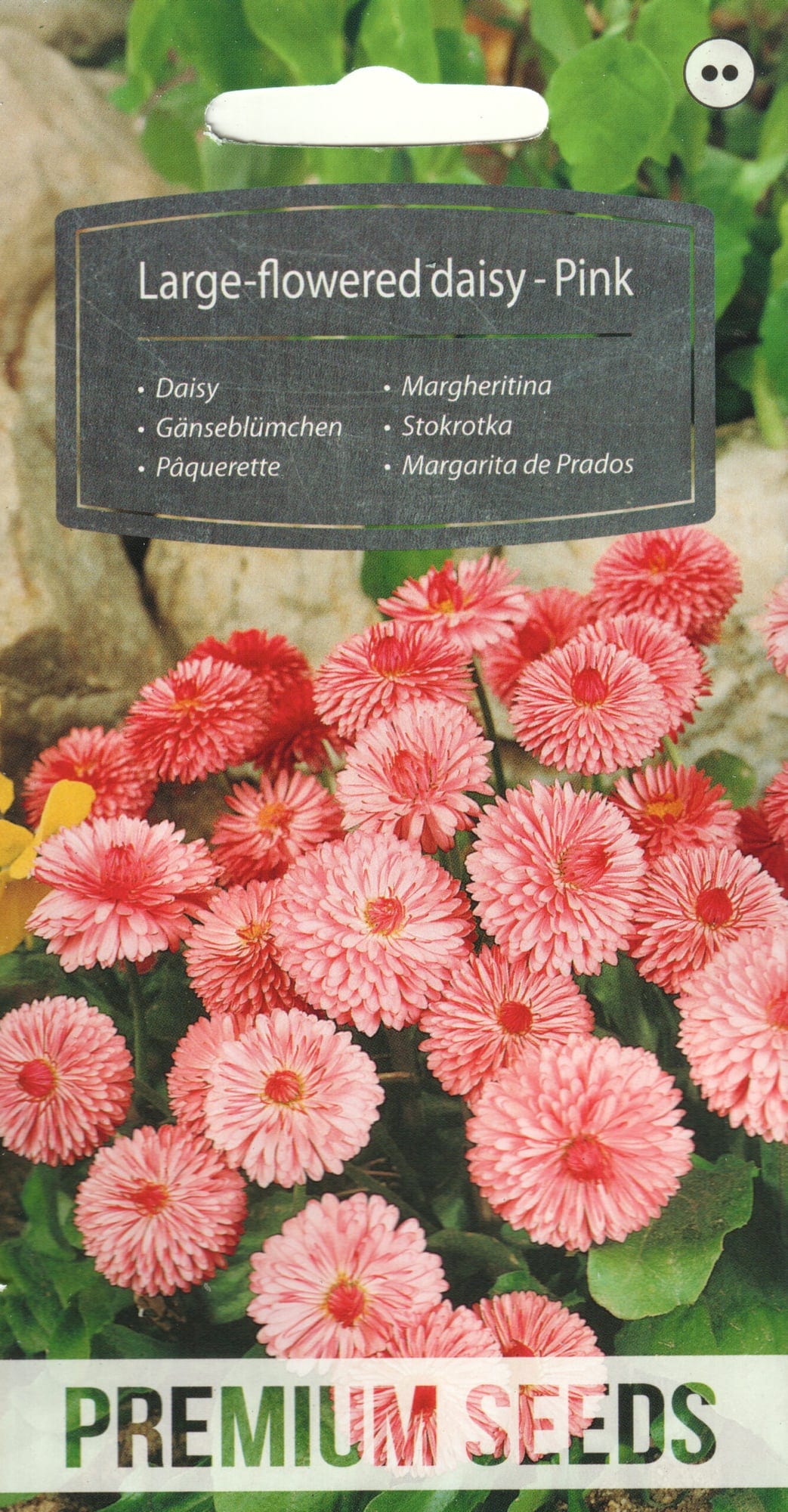 Kirikakar "Large Pink"