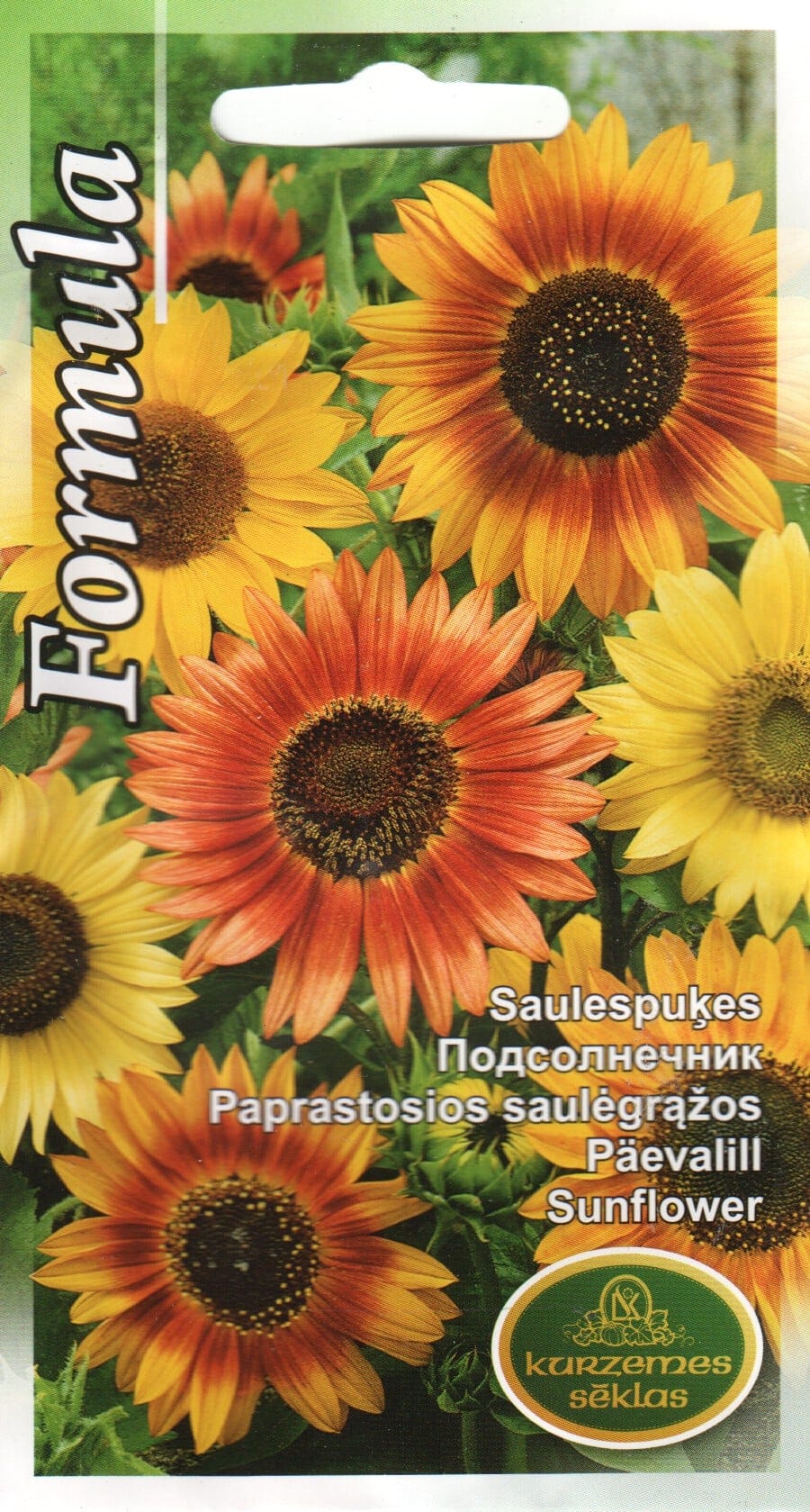 Harilik päevalill "Formula"