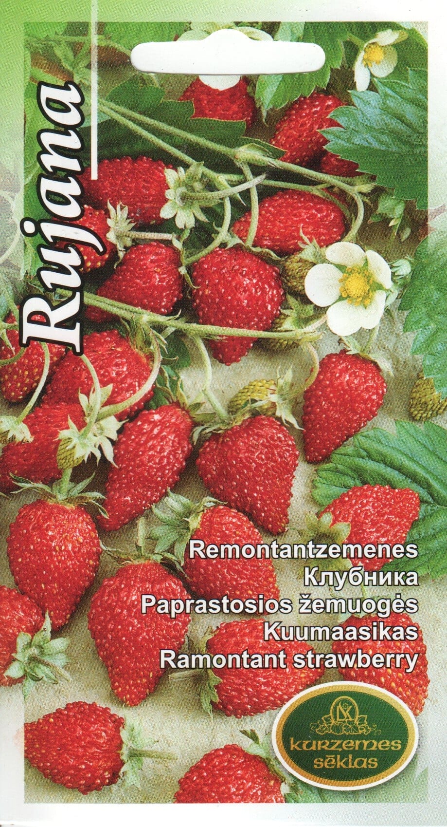 Kuumaasikas "Rujana"