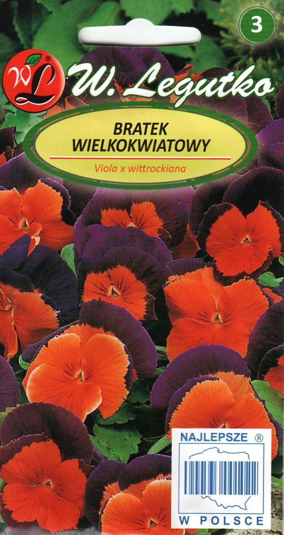 Võõrasema "Orange Violet"