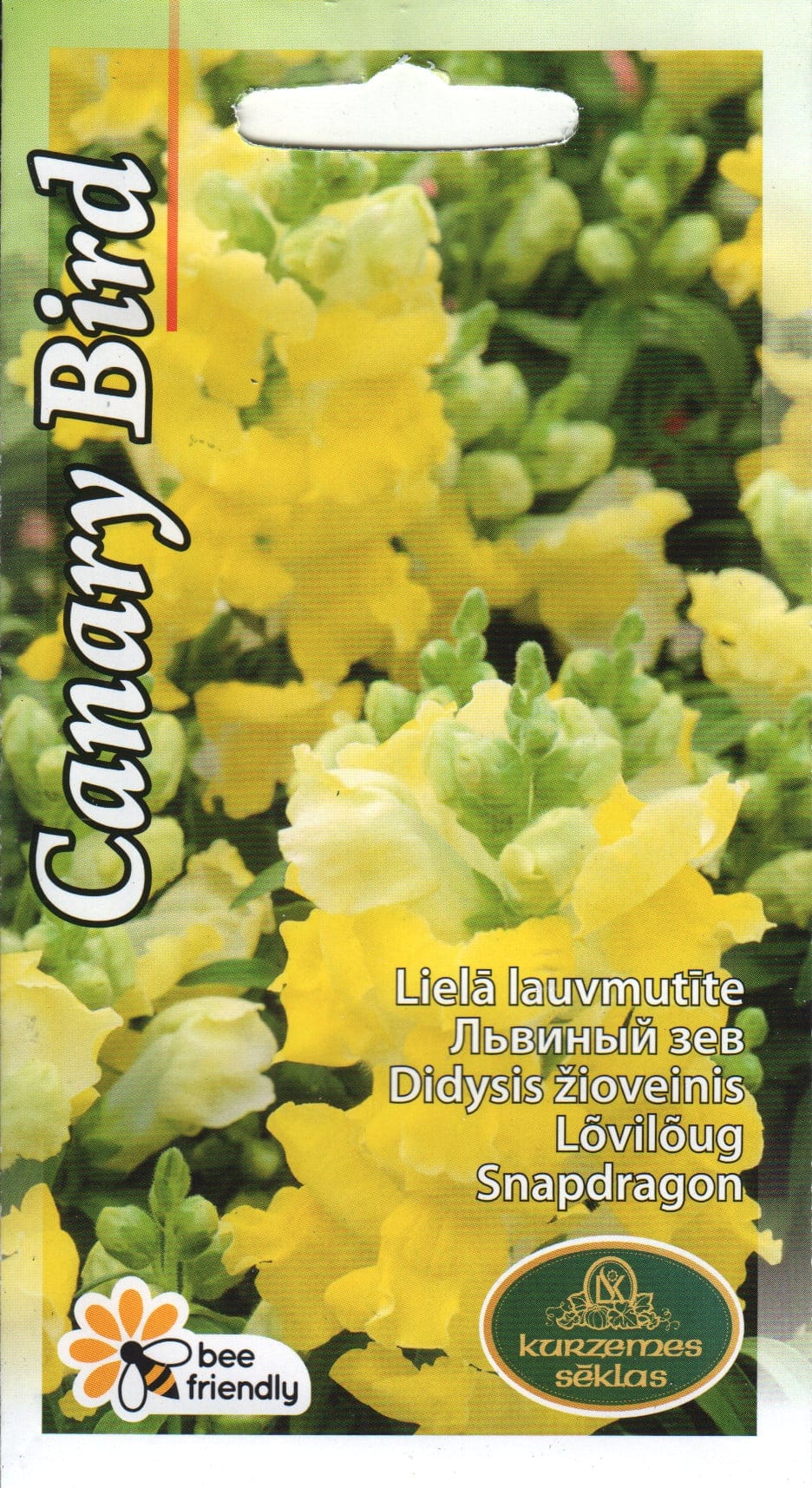 Lõvilõug "Canary Bird"