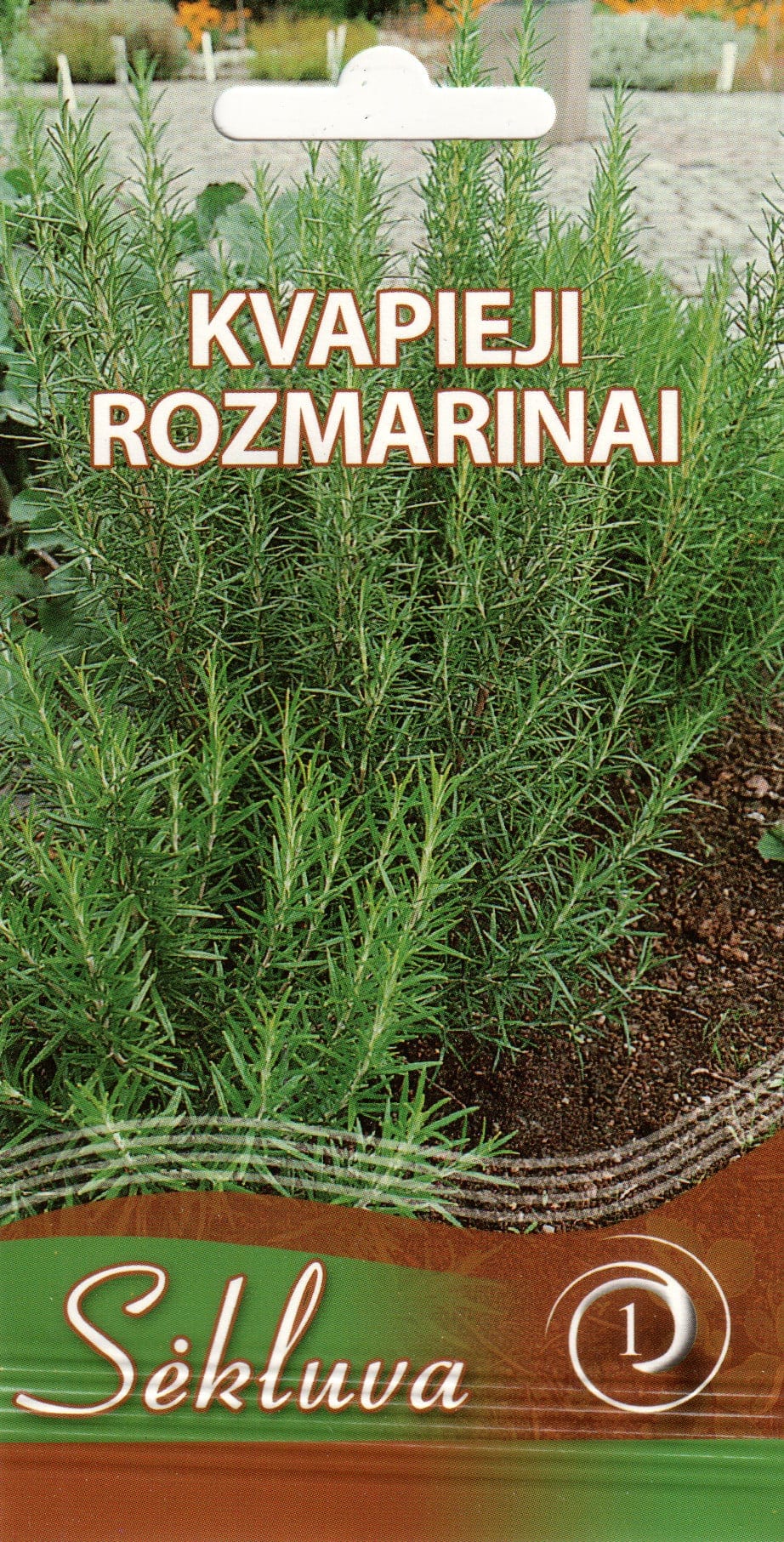 Harilik rosmariin