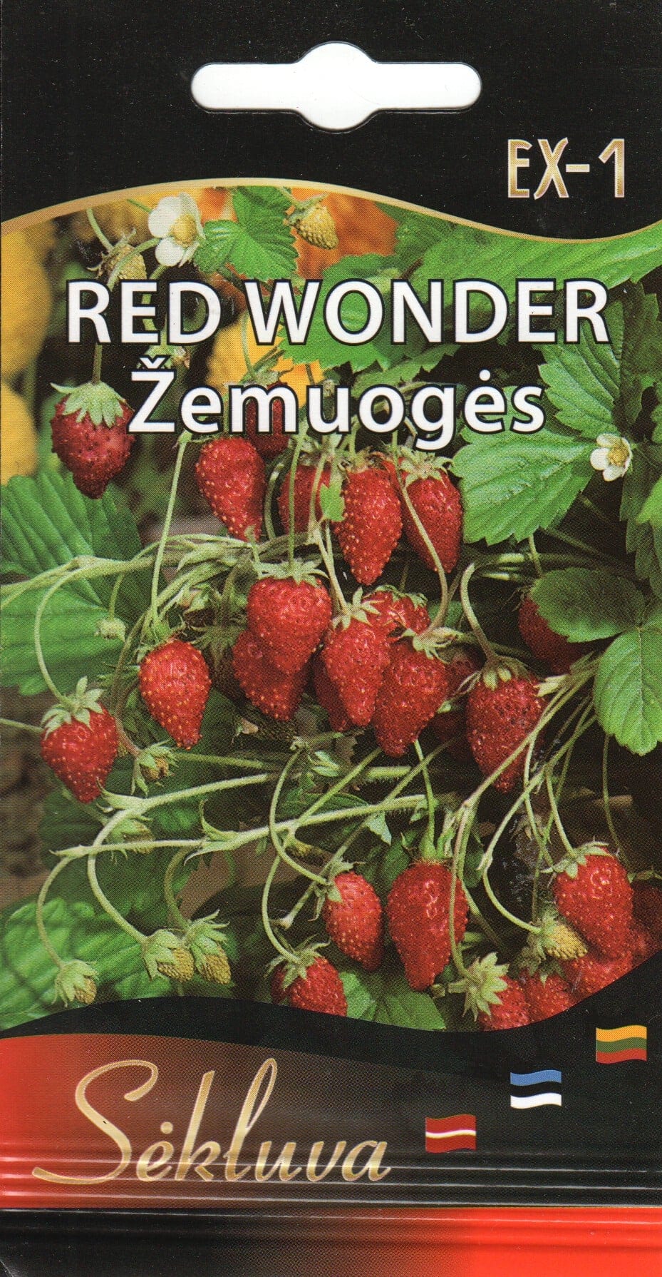 Kuumaasikas "Red Wonder"
