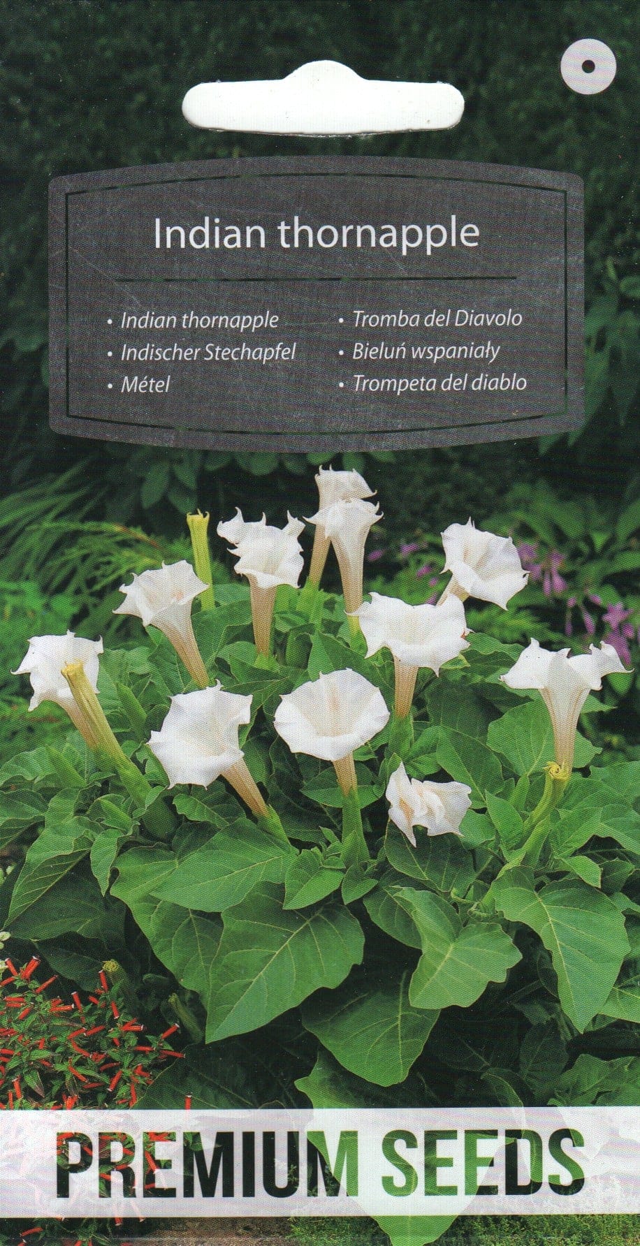 Kuradi ogaõun