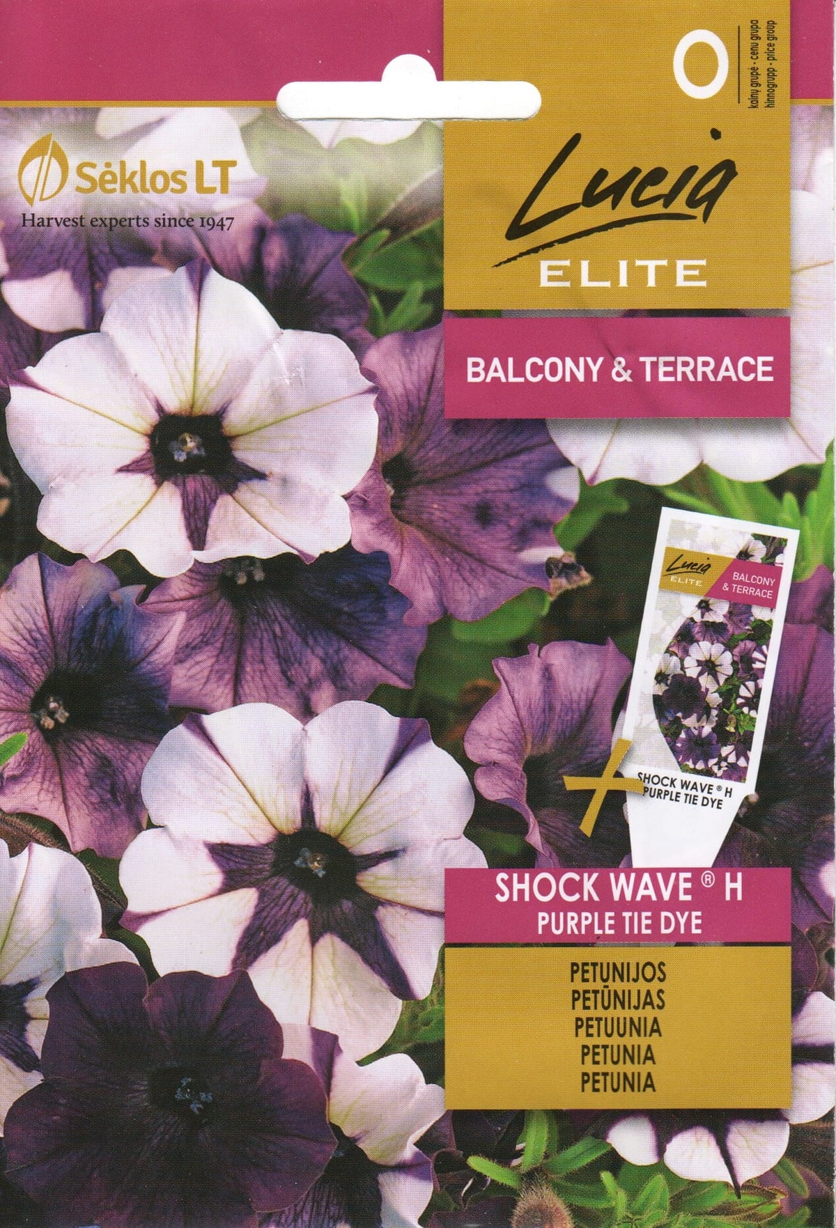 Ripp-petuunia "Shock Wave Purple Tie Dye" F1