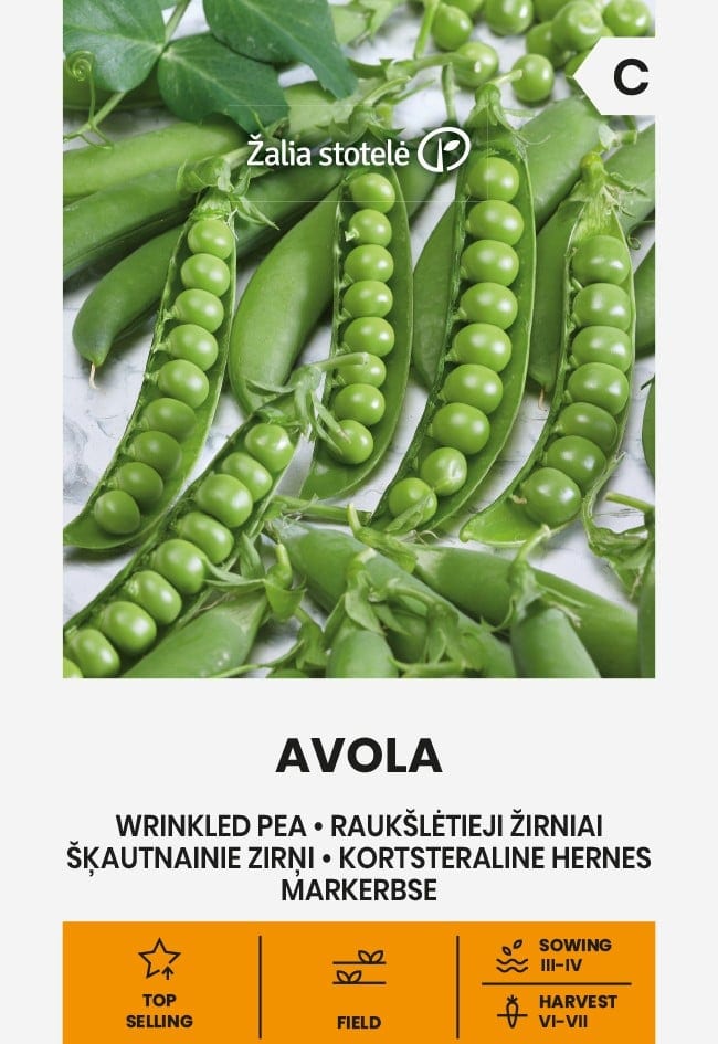 Aedhernes "Avola"