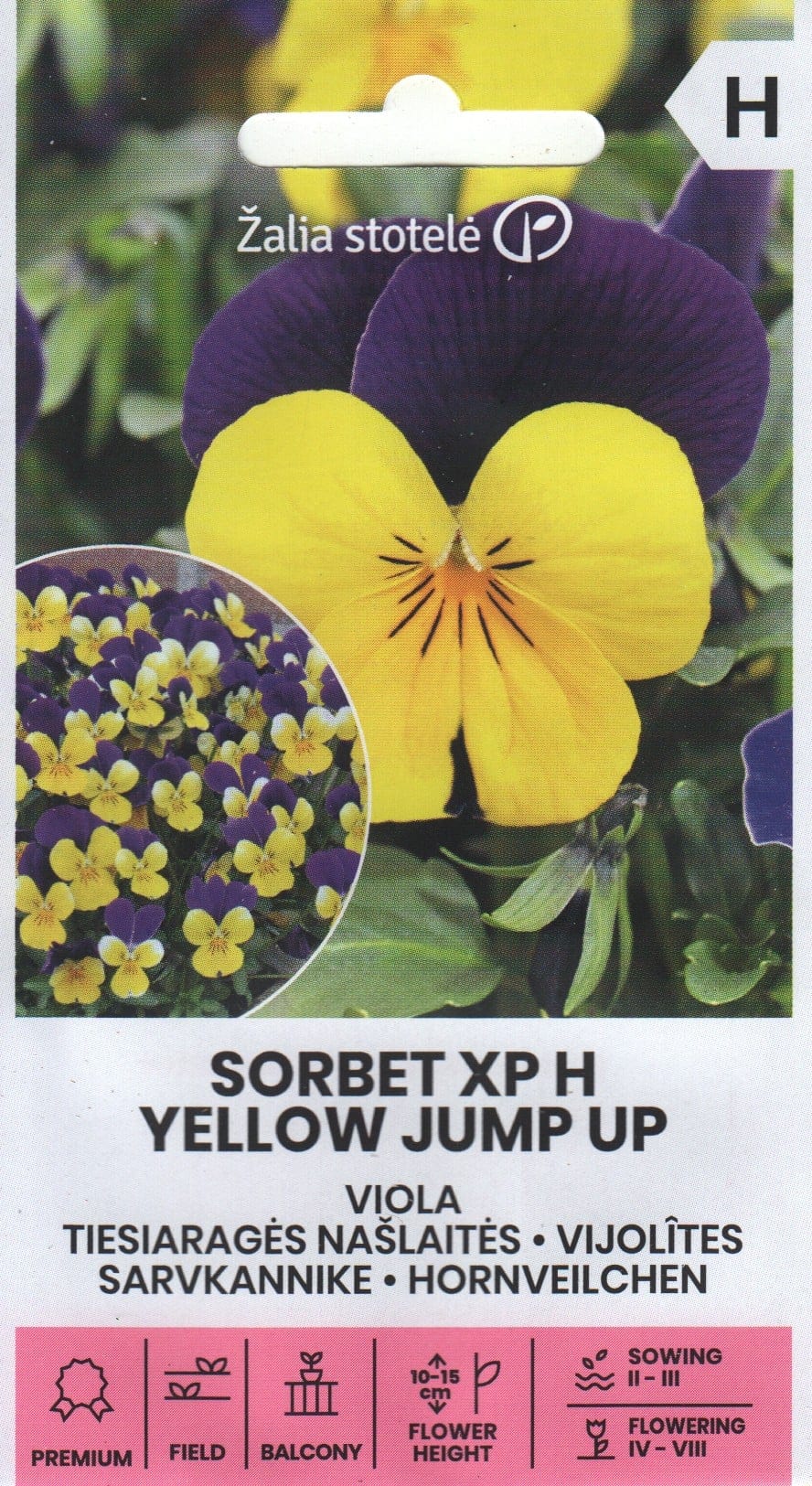 Sarvkannike "Sorbet XP Yellow Jump Up"